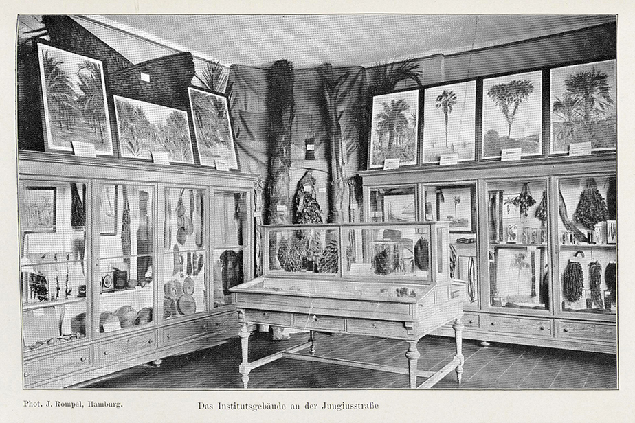 Room of the palms 1897