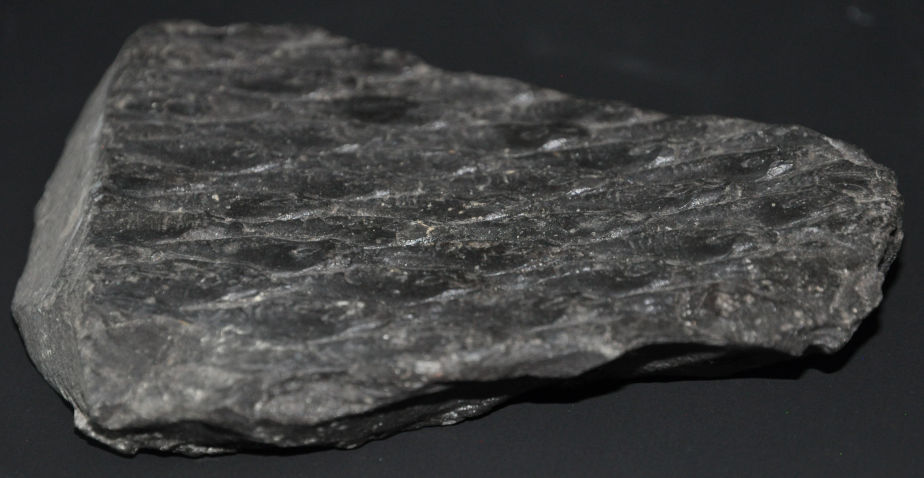 Das Foto zeigt vor schwarzem Hintergrund einen dunkelgrauen Stein. Die Oberfläche des Steins hat die Struktur von Baumrinde.