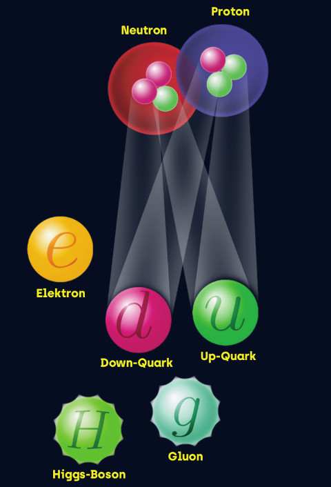 Schematische Darstellung vor schwarzem Hintergrund: oben sind zwei große Kreise in rot und blau (Neutron und Proton), in denen sich je drei kleinere Kreise in grün und pink befinden. Diese sind darunter als Up- und Down-Quark erklärt. Ebenfalls zu sehen sind ein gelber Kreis (Elektron) und zwei Kreise mit Zacken in hellgrün und hellblau (Higgs-Boson und Gluon).